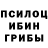 Псилоцибиновые грибы прущие грибы Dias Zharasbay